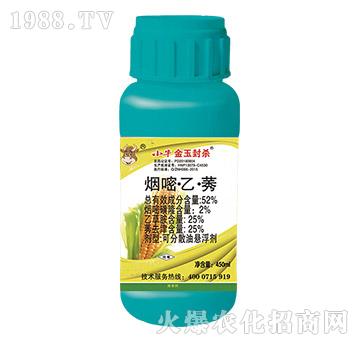 52%סҡݬ-Сţ⚢-rI(y)