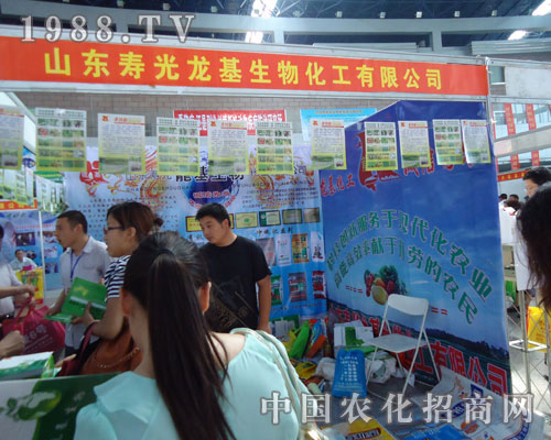 看徐州農(nóng)資會壽光龍基公司驕人風(fēng)姿