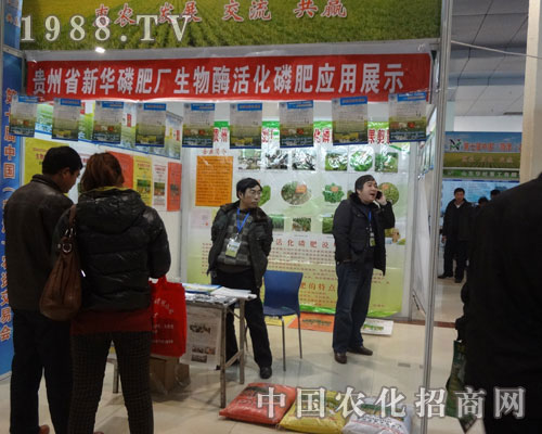 新華磷肥廠 生物酶活化磷肥應(yīng)用展示