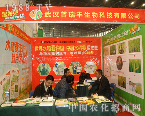 武漢普瑞豐：世界水稻看中國，中國水稻要“猛發(fā)兜”