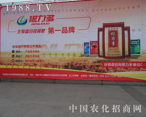 北京根力多參加2013磷復(fù)肥展覽會