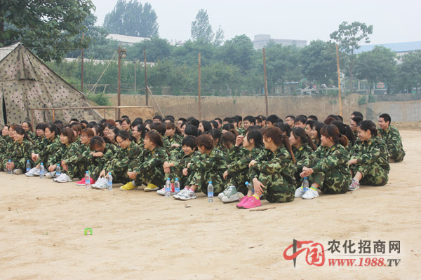 組建團(tuán)隊,一個都不能少