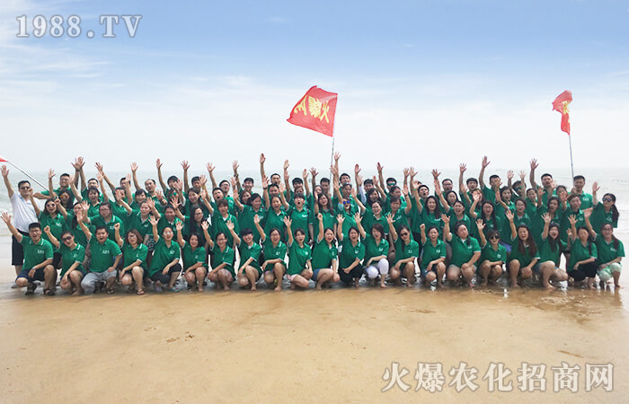 擁抱大海,感受大自然的奇妙風光!