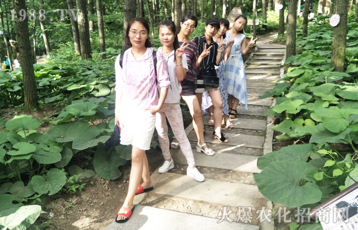沒(méi)有比人更高的山 沒(méi)有比腳更長(zhǎng)的路