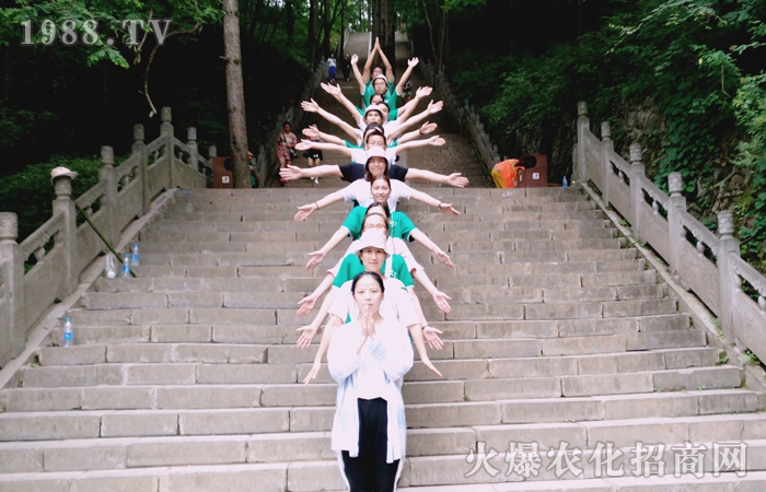 云在山中飄,人在畫(huà)中游之洛陽(yáng)白云山