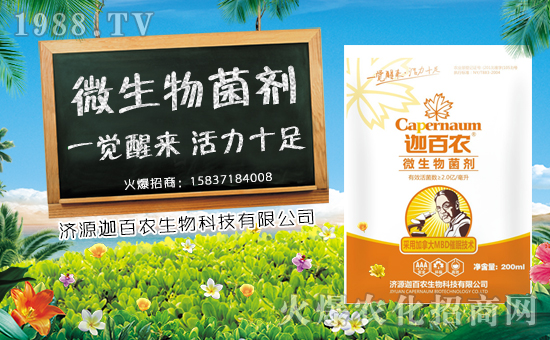 【迦百農】恭祝大家新春快樂,幸福安康!