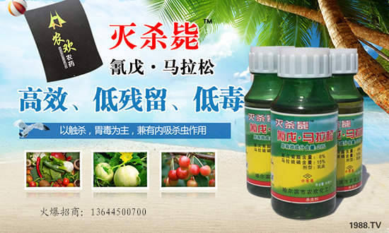 【哈爾濱農(nóng)歡農(nóng)】祝全國(guó)朋友開年大吉,萬(wàn)事如意!