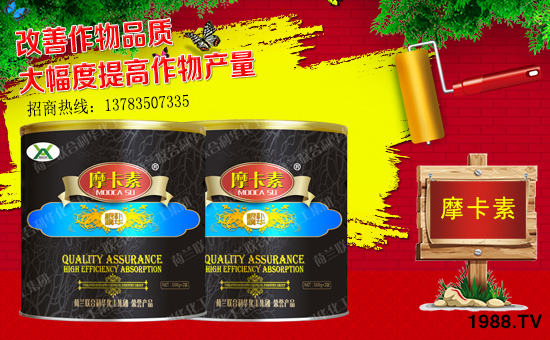 【強(qiáng)芯國際】祝大家在新的一年里身體健康,工作順利!