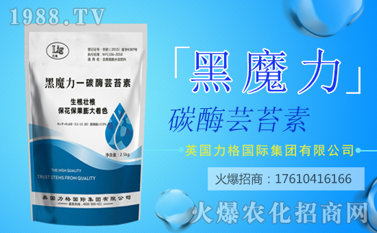 【英國(guó)力格】祝您歡歡喜喜迎狗年,萬(wàn)事如意平安年!