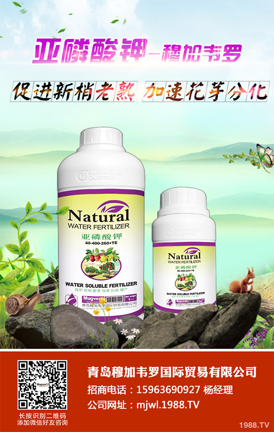 甘藍(lán)軟腐病有哪些癥狀表現(xiàn)？是如何發(fā)生的？甘藍(lán)軟腐病預(yù)防措施