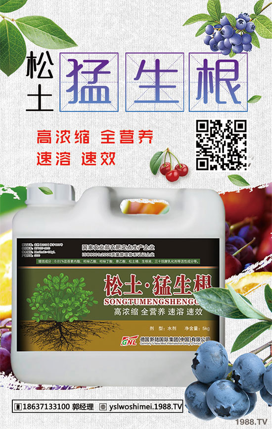 小麥苗期為什么死苗嚴(yán)重？小麥出苗期死苗咋補(bǔ)救？
