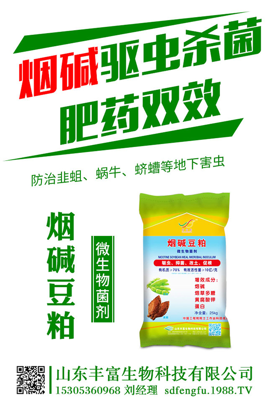 荷蘭豆什么時候種植適合?荷蘭豆秋季種植時間及技術(shù)!