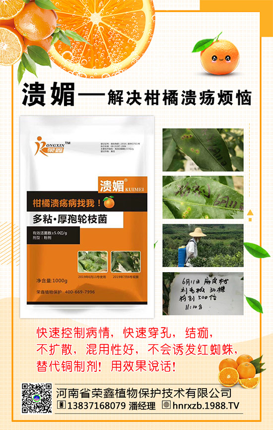 菠菜的營(yíng)養(yǎng)價(jià)值，吃菠菜的好處有哪些？