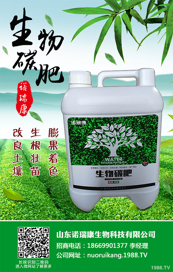冬茬油麥菜該怎么種？掌握這幾點，輕松種出油麥菜！