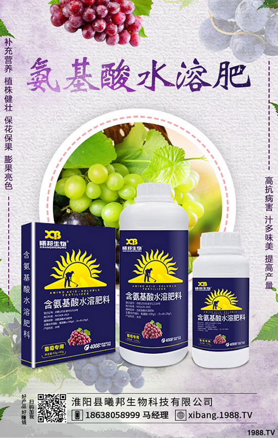 秋季蘿卜怎么種植，秋季蘿卜種植技術(shù)及栽培要點(diǎn)！