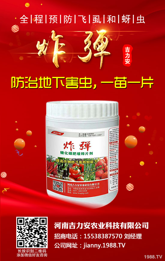 芹菜的功效與作用，哪些人不能吃芹菜？