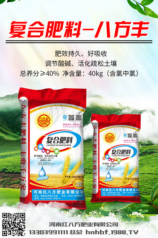 芹菜怎么種？芹菜什么時(shí)候種植好？芹菜種植時(shí)間和方法！
