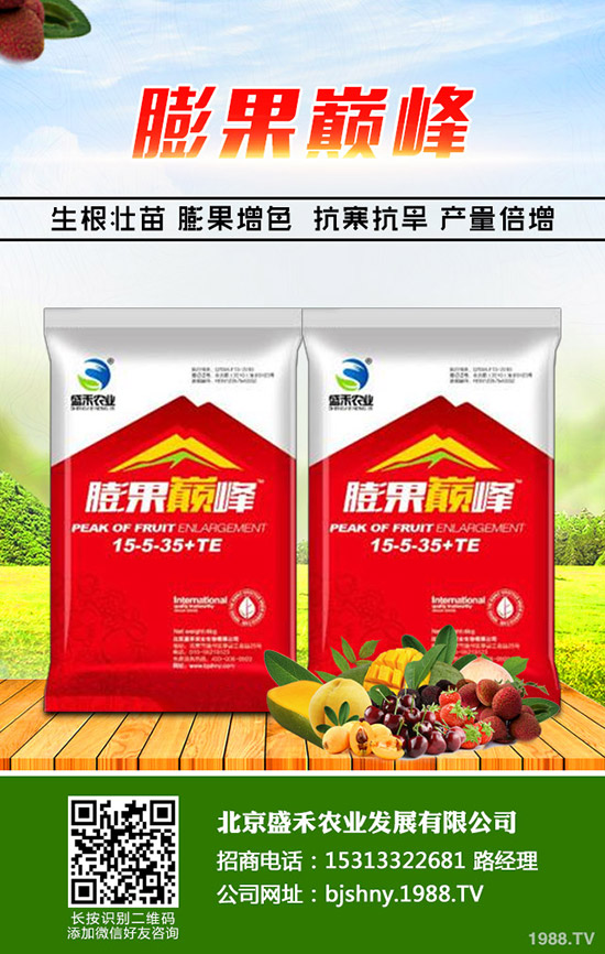 韭菜的種植時(shí)間是什么時(shí)候，韭菜的種植要點(diǎn)您了解嗎？