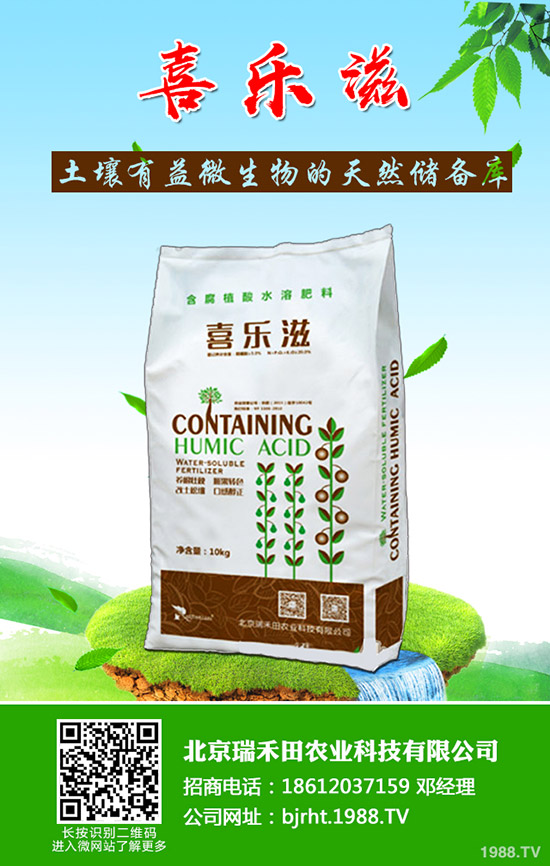 豆角葉片發(fā)黃是怎么回事，豆角葉片發(fā)黃怎么防治？