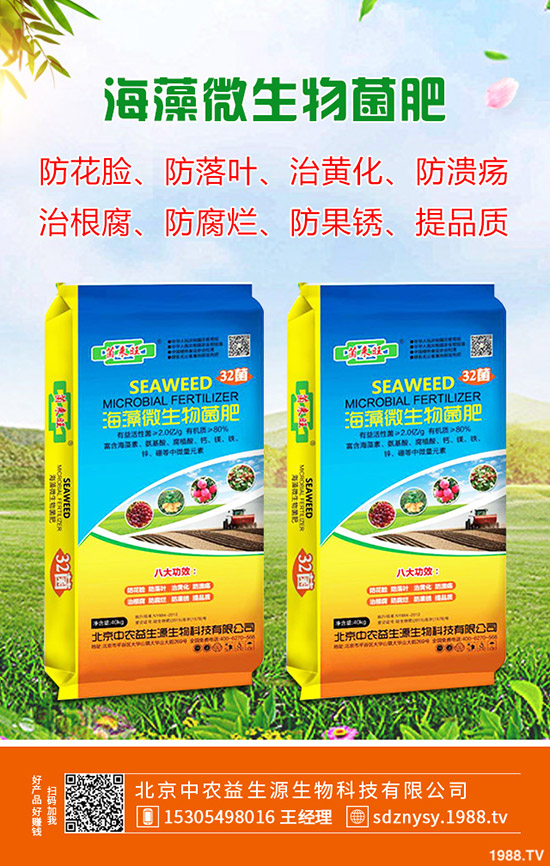 復(fù)合肥行情疲軟!2019年11月復(fù)合肥價(jià)格走勢(shì)綜合評(píng)測(cè)!