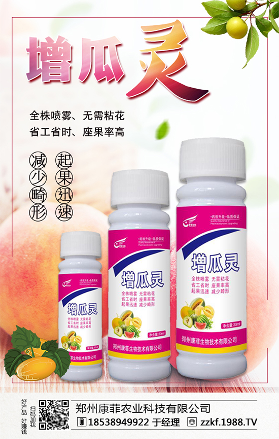 大棚南瓜怎么種植？大棚南瓜的種植中要點！