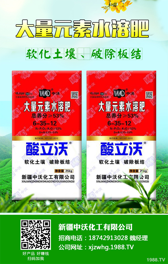 白皮松經(jīng)濟效益如何？2020白皮松的種植前景分析