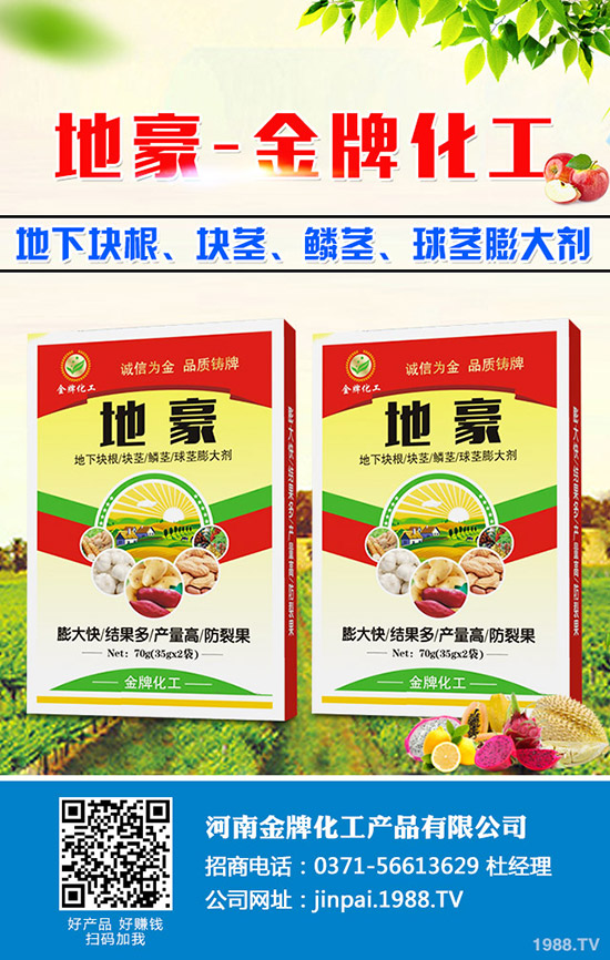 菠菜什么時候種更合適？菠菜種植技術(shù)和時間！