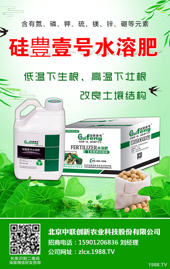 辣椒的種植要點(diǎn)有哪些，辣椒地膜覆蓋栽培技術(shù)！