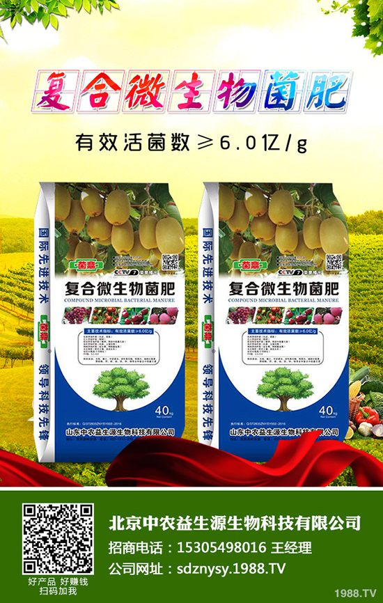 油麥菜的功效與作用，油麥菜的營養(yǎng)價值！
