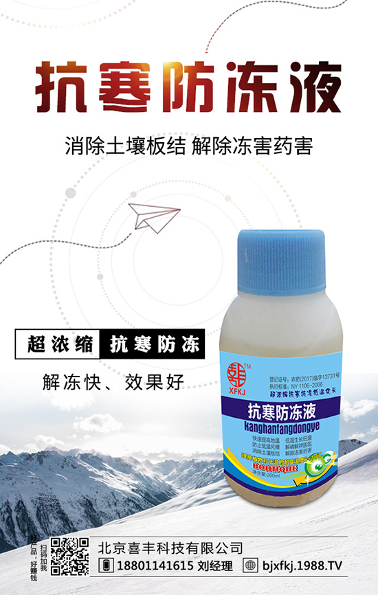 種植一畝地油麥菜一年收益多少？油麥菜種植成本及效益！