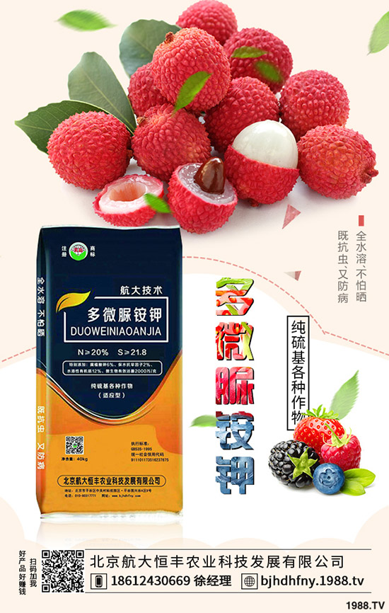 茄子早衰是什么原因？哪些方法能夠預(yù)防茄子早衰？