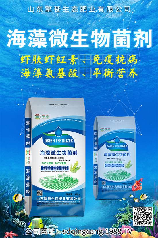 辣椒早衰什么癥狀？辣椒早衰的防治措施！