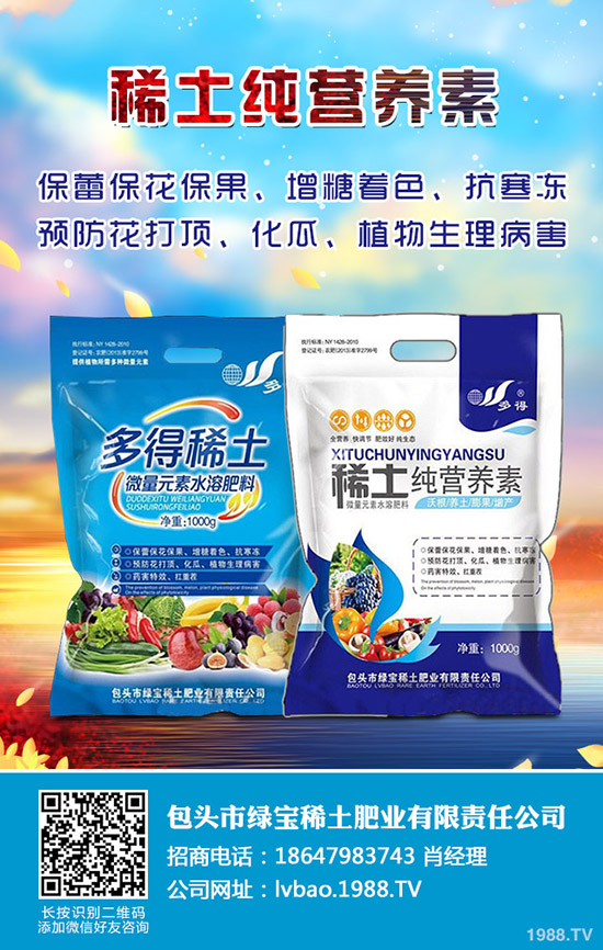 白蠟樹的種植技術(shù)有哪些？白蠟的日常養(yǎng)護管理！