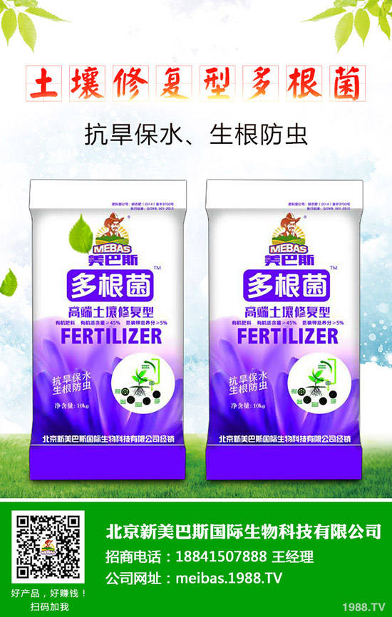 洋蔥的需肥特點(diǎn)有哪些？洋蔥的施肥技術(shù)是什么！