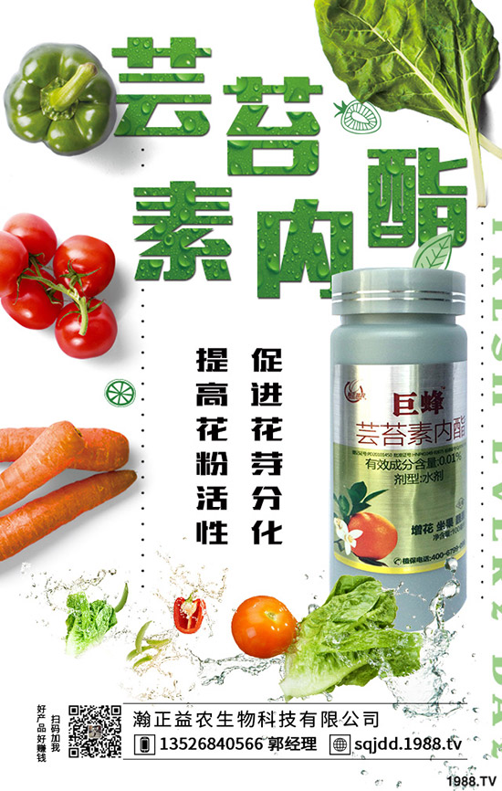 大棚蔬菜采光率低危害，如何提高大棚蔬菜采光率？