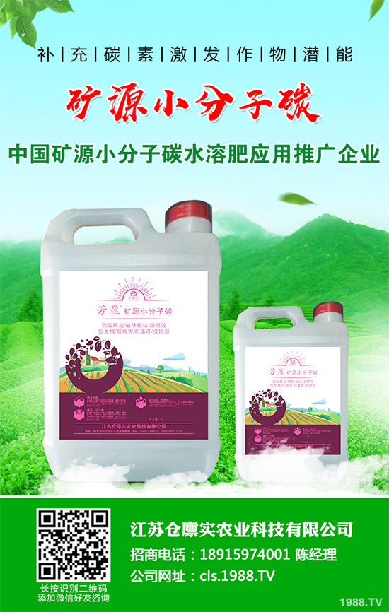 明年種植蘋果前景如何？2020年蘋果種植效益分析