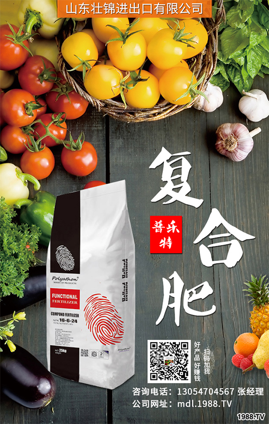 魔芋有哪些營(yíng)養(yǎng)價(jià)值？魔芋的營(yíng)養(yǎng)價(jià)值及功效作用