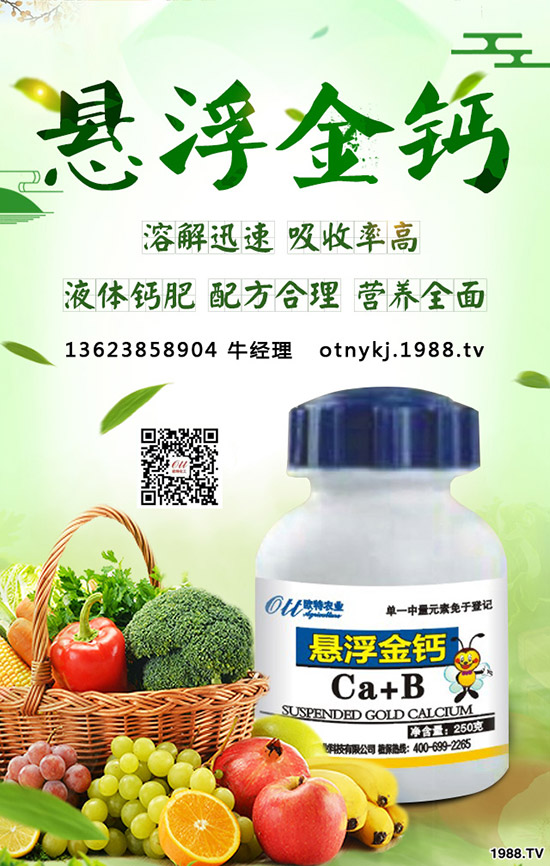 草莓得了葉枯病怎么辦，如何防治？草莓葉枯病防治方法！