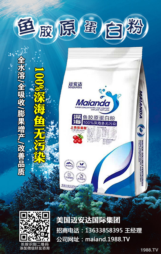     復(fù)合肥東北冬儲或破局？2019年12初復(fù)合肥行情走勢！
