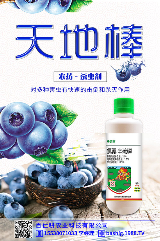 空心菜用什么肥好，空心菜的施肥技巧有哪些？