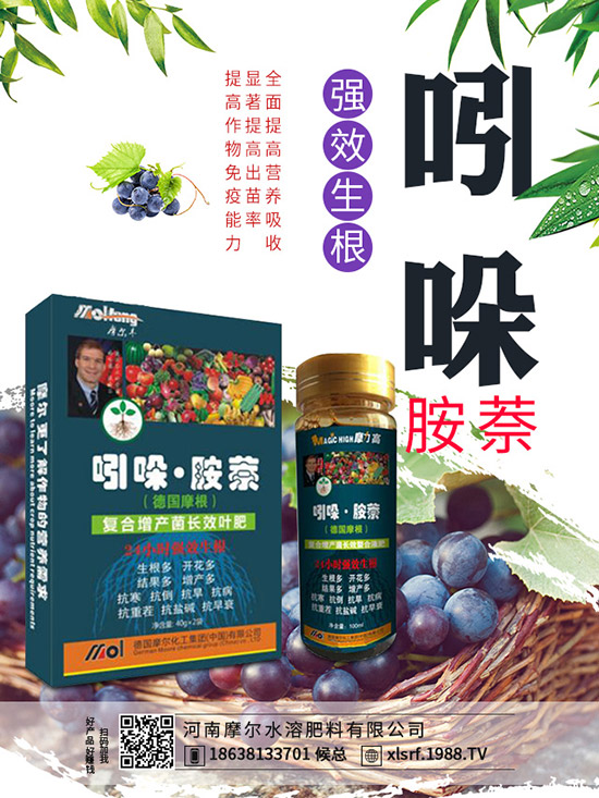 煙草主產(chǎn)地在哪里，煙草種植方法有哪些？