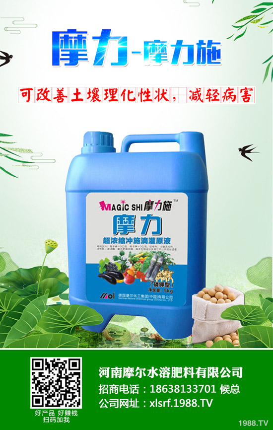 甜瓜用什么肥料好，甜瓜施肥技術(shù)有哪些？