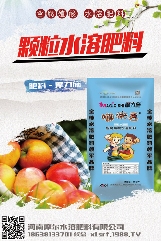 葉面肥種類有哪些，如何正確使用葉面肥？