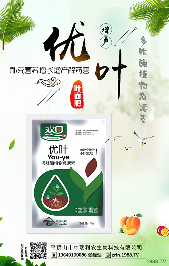 山藥什么時(shí)候種植？山藥高產(chǎn)種植技術(shù)要點(diǎn)！
