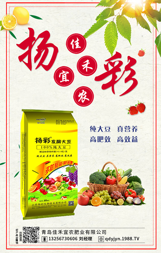 秋茬西紅柿要想產(chǎn)量高，如何澆水沖肥？