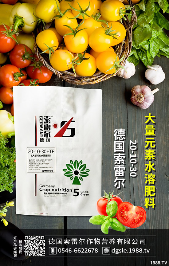 如何防治辣椒花葉?。坷苯坊ㄈ~病的防治措施!