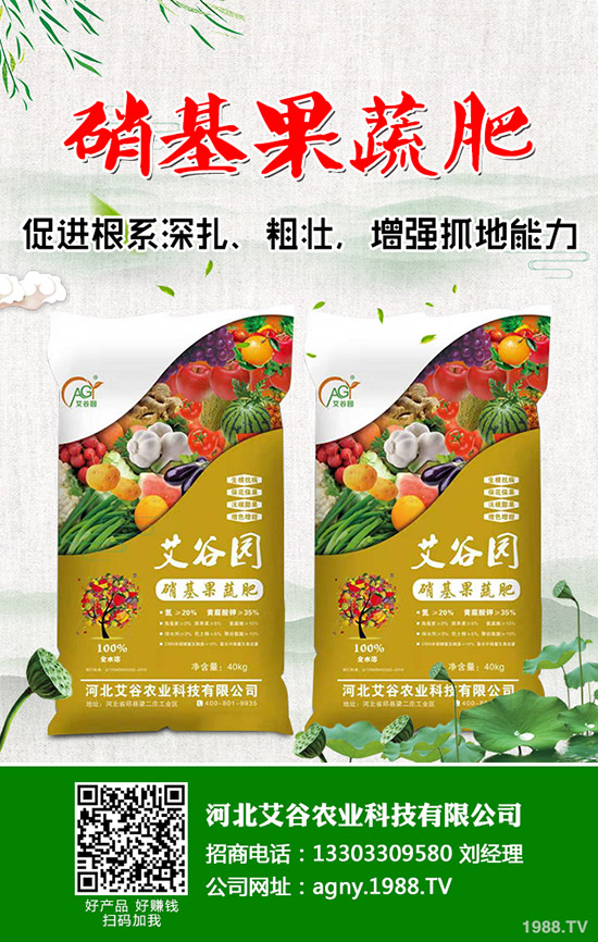 花椰菜與西蘭花的營養(yǎng)價(jià)值有什么不同，花椰菜西蘭花的區(qū)別有哪些？