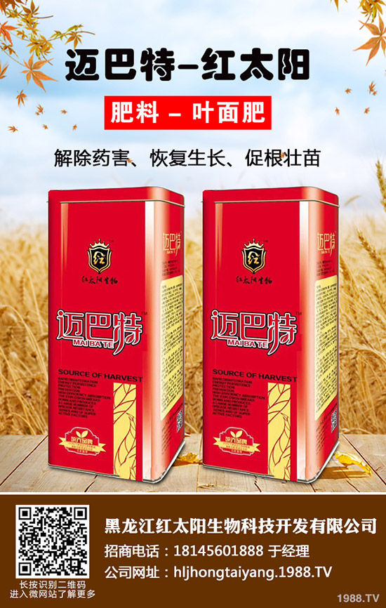常吃紫蘇有什么好處，紫蘇的作用與功效！
