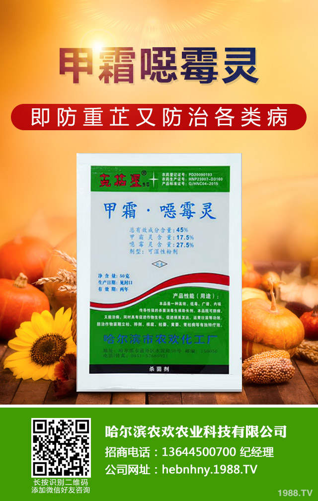 溫室黃瓜灰霉病如何防控？溫室黃瓜灰霉病防控技巧