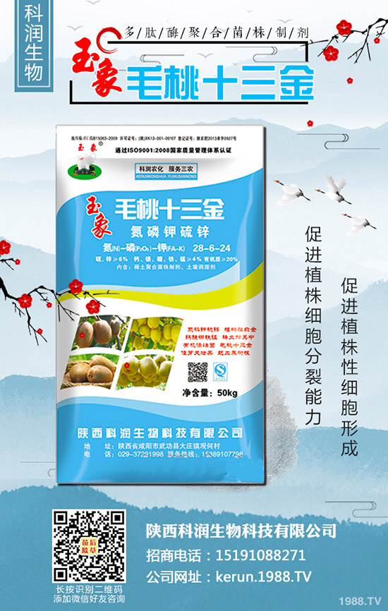     大蔥秋季什么時間種植合適？大蔥秋季種植時間及種植技術(shù)！